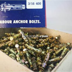 พุกเหล็ก 3/16