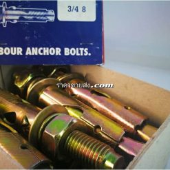 พุกเหล็ก 3/4