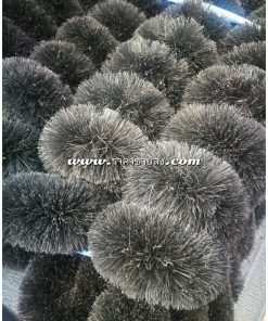 แปรงกาบมะพร้าวสีดำ