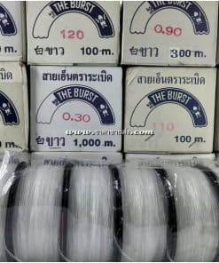 สายเอ็นตราระเบิด