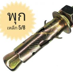 พุกเหล็ก 5/8