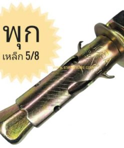 พุกเหล็ก 5/8