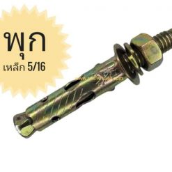 พุกเหล็ก 5/16