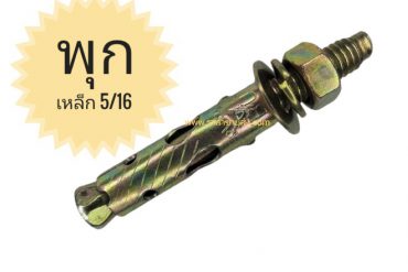 พุกเหล็ก 5/16