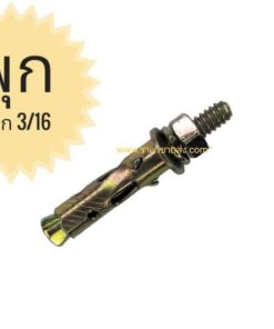 พุกเหล็ก 3/16