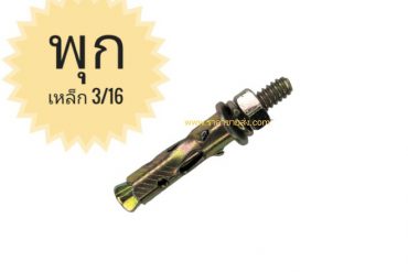 พุกเหล็ก 3/16