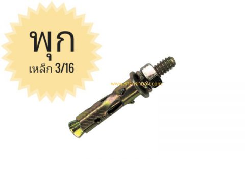 พุกเหล็ก 3/16