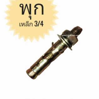 พุกเหล็ก 3/4